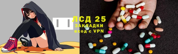 крисы Абаза