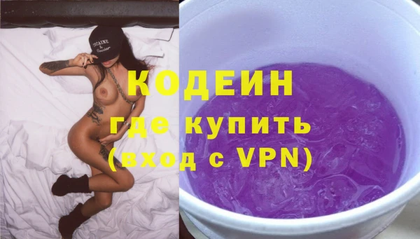 крисы Абаза