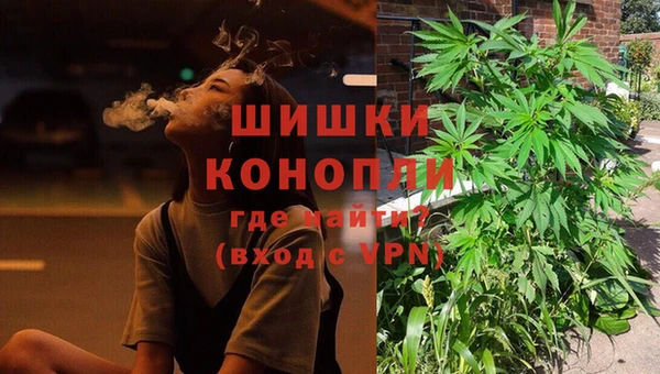 крисы Абаза
